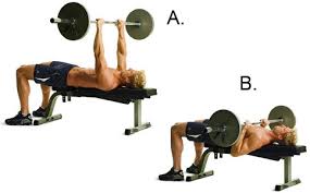 bench press